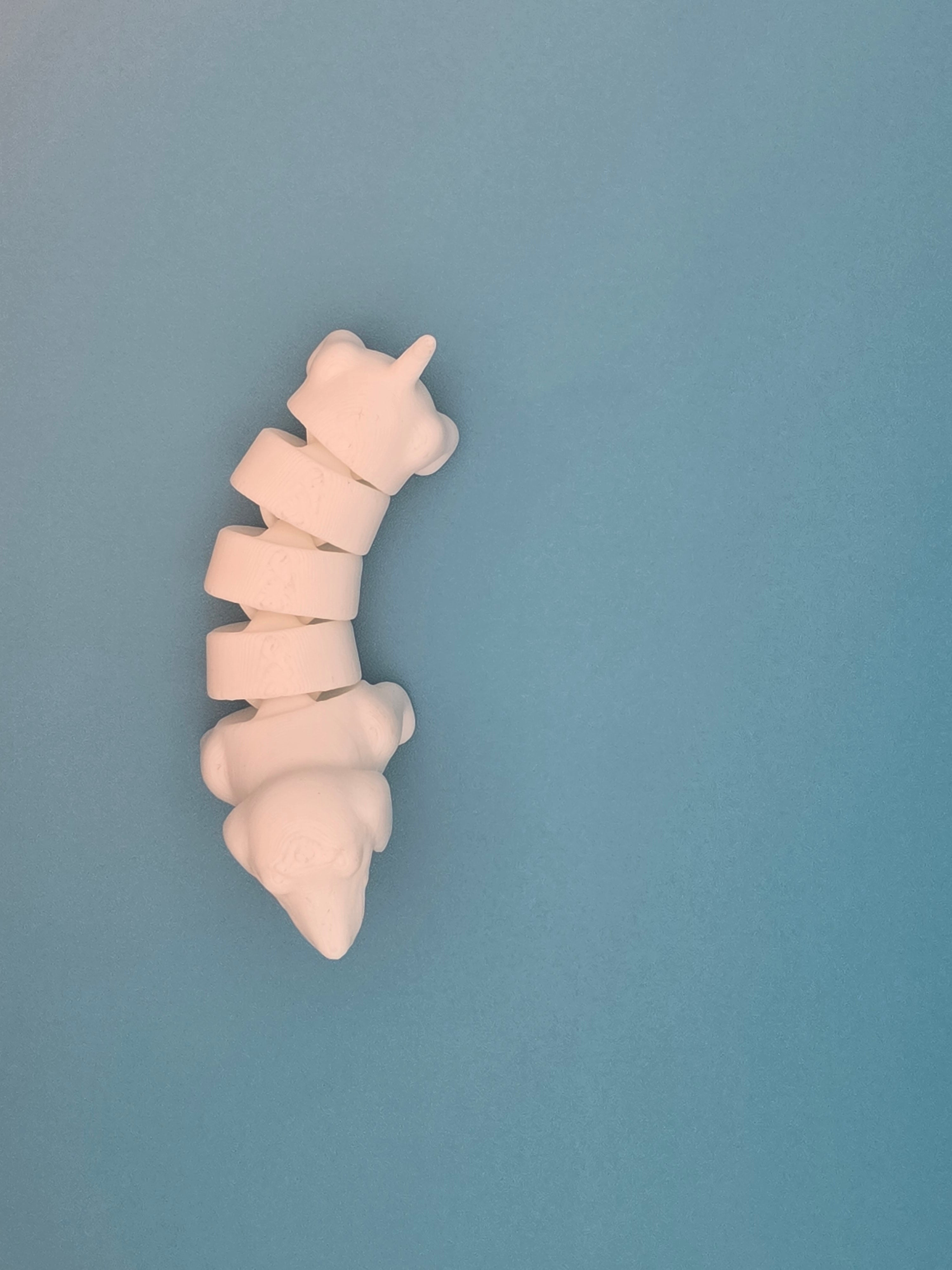 🐶 Teckels articulés – Lot de 5 –