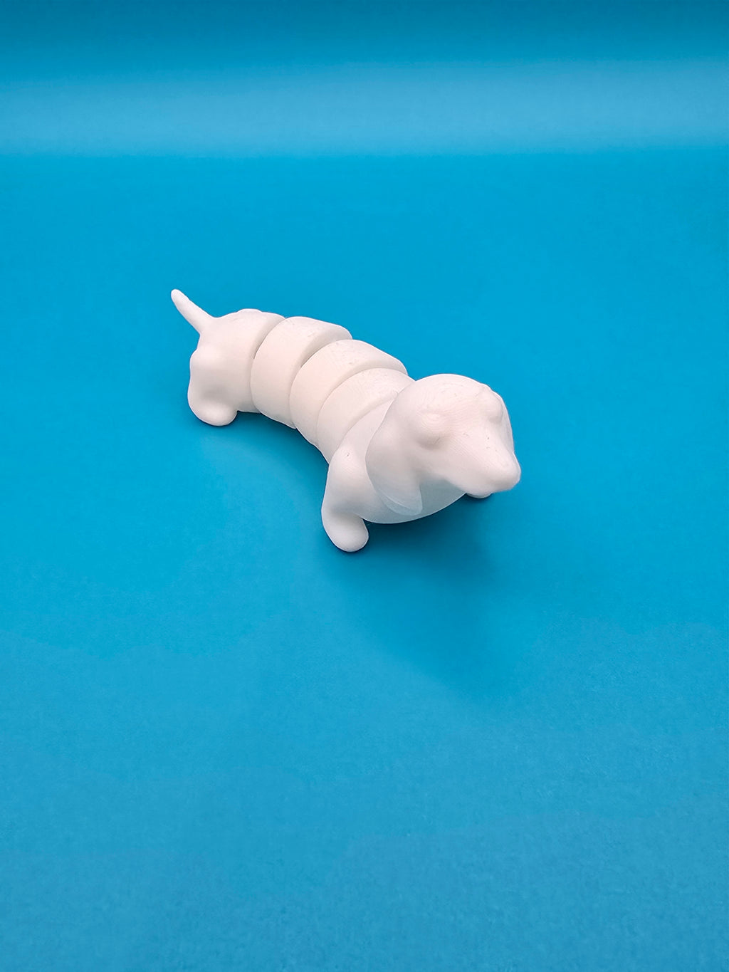 🐶 Teckels articulés – Lot de 5 –